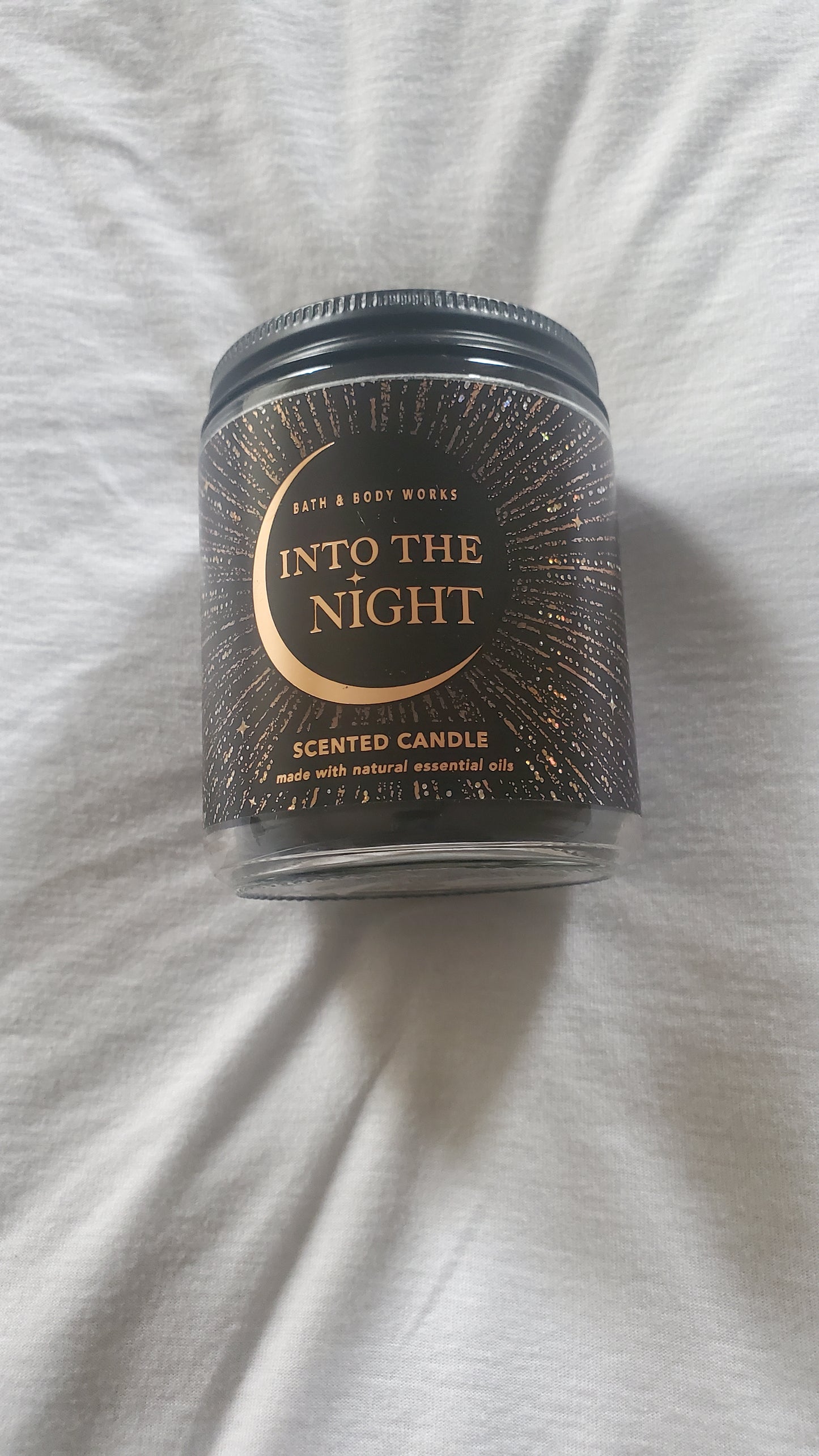 Into the Dark (Bath and Body works)single candle